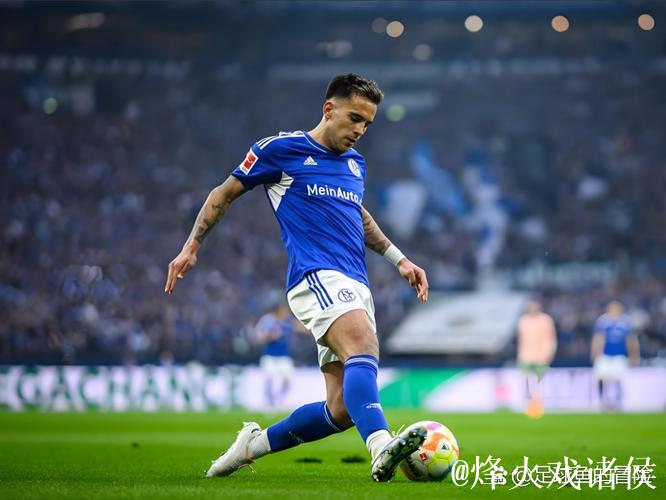 有望重返德甲，沙尔克提前一轮锁定德乙半程冠军